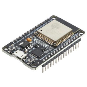Electronic Module